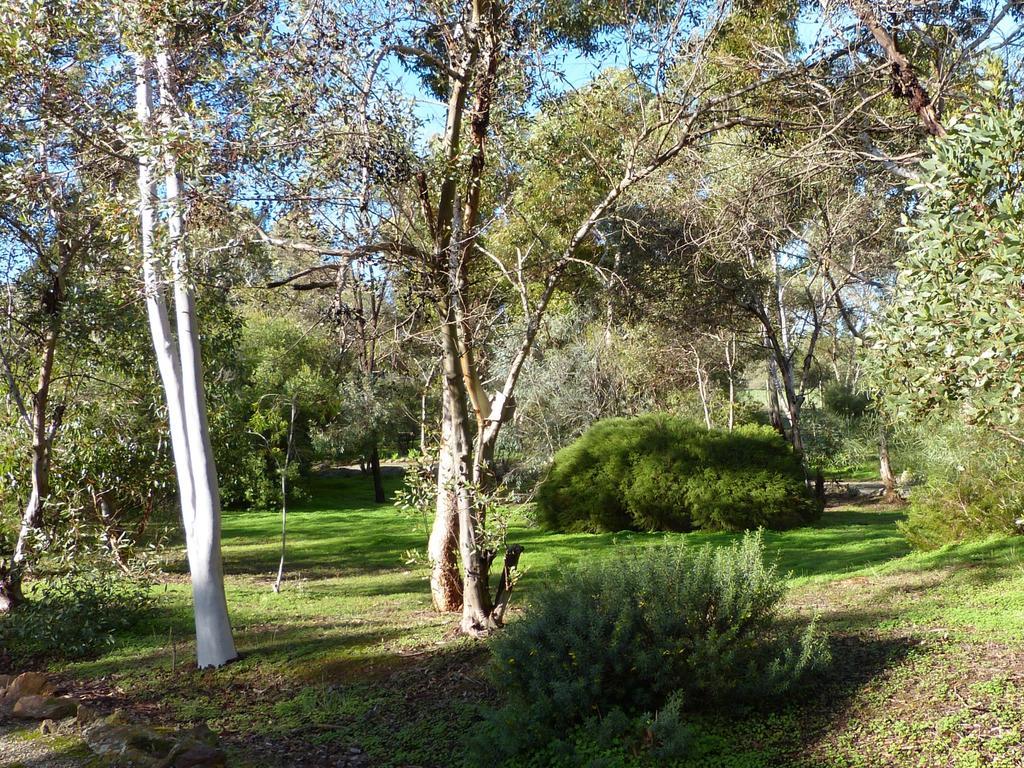 فيلا Watervale Retreat المظهر الخارجي الصورة